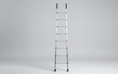 Best Overland Rooftop Ladders